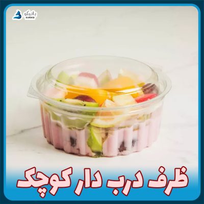 ظرف یکبار مصرف درب دار کوچک یک نفره بانیکو